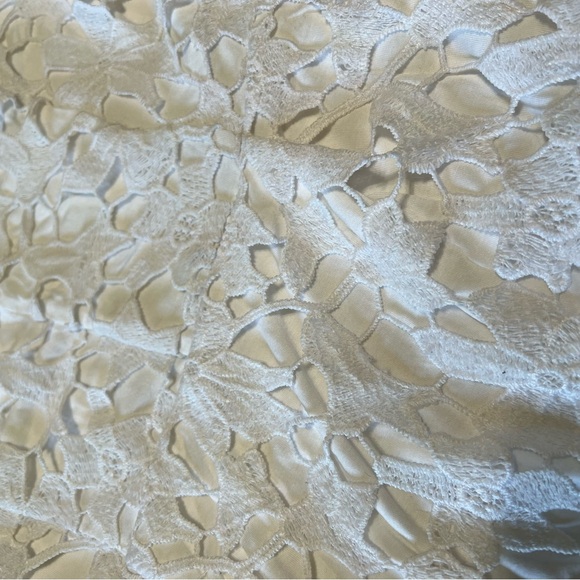 Express Floral Midi Lace Dress - Picture 12 of 13